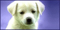 Very Friendly and Helpful Web Hosting.
