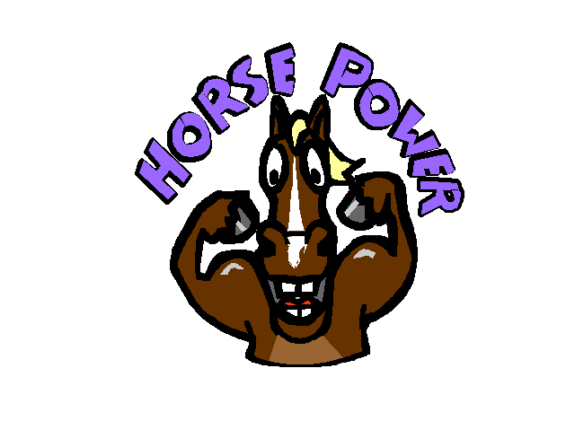 Arabian Horse Power!